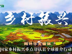 海外华文媒体国家乡村振兴重点帮扶县全球推介行动媒体名单
