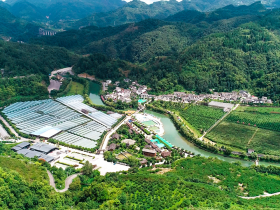 【深入学习贯彻党的二十大精神·奋进新征程 建功强富美】福泉市供销社:多措并举助力乡村产业振兴