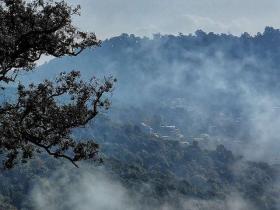 当乡村旅游开始卖出百万爆款