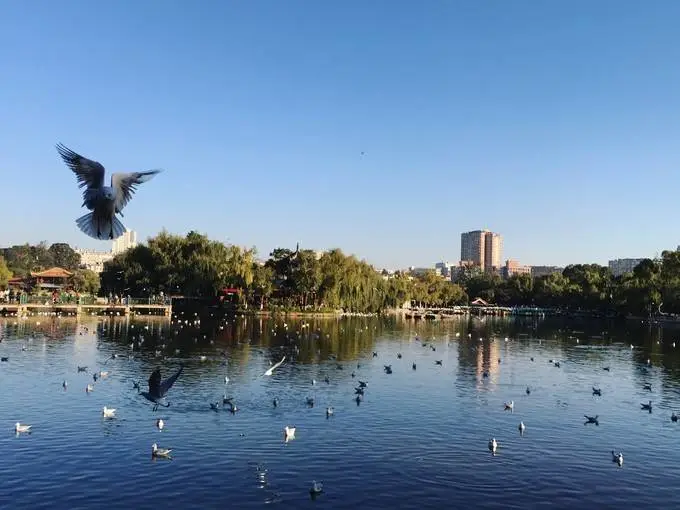 去云南旅游，为什么首站选昆明？